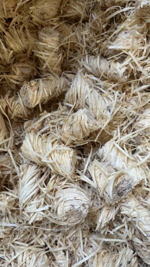 ALLUME FEU - SACHET 1KG